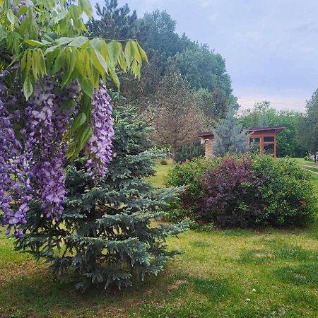 Ásotthalom Gyoember Tanya 빌라 외부 사진